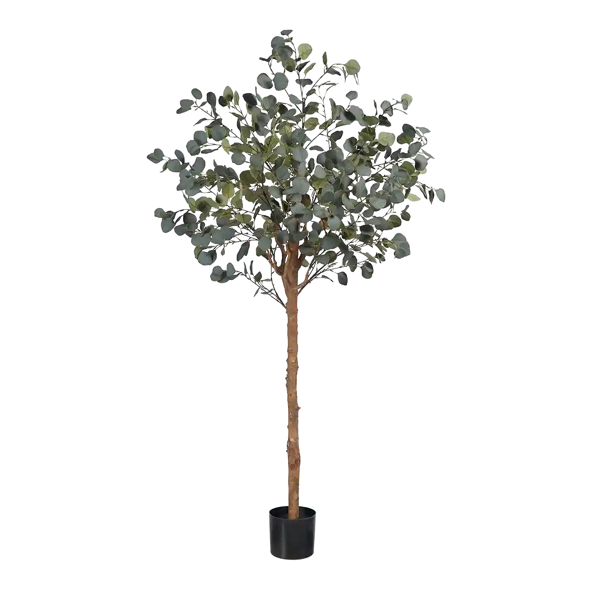 Künstlicher Eucalyptus Baum - Parla | 180 cm