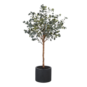 Künstlicher Eucalyptus Baum - Parla | 180 cm