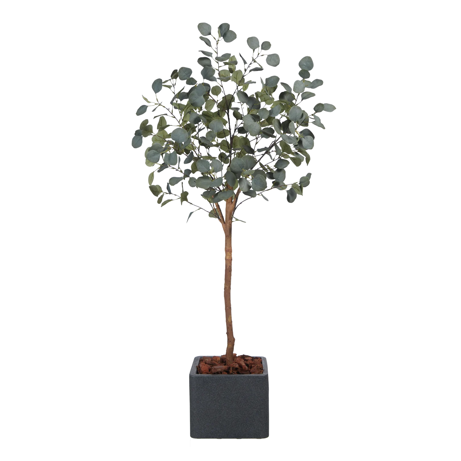 Künstlicher Eucalyptus Baum - Parla | 150 cm