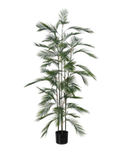 Künstliche Bergpalme - Nolte | 180 cm