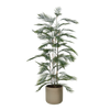 Künstliche Bergpalme - Nolte, 180 cm, Kunstbaum von aplanta, in Grün, für drinnen