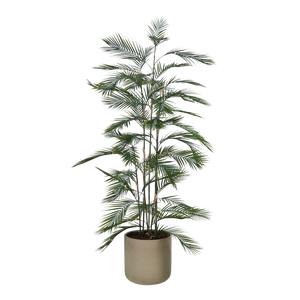 Künstliche Bergpalme - Nolte | 180 cm