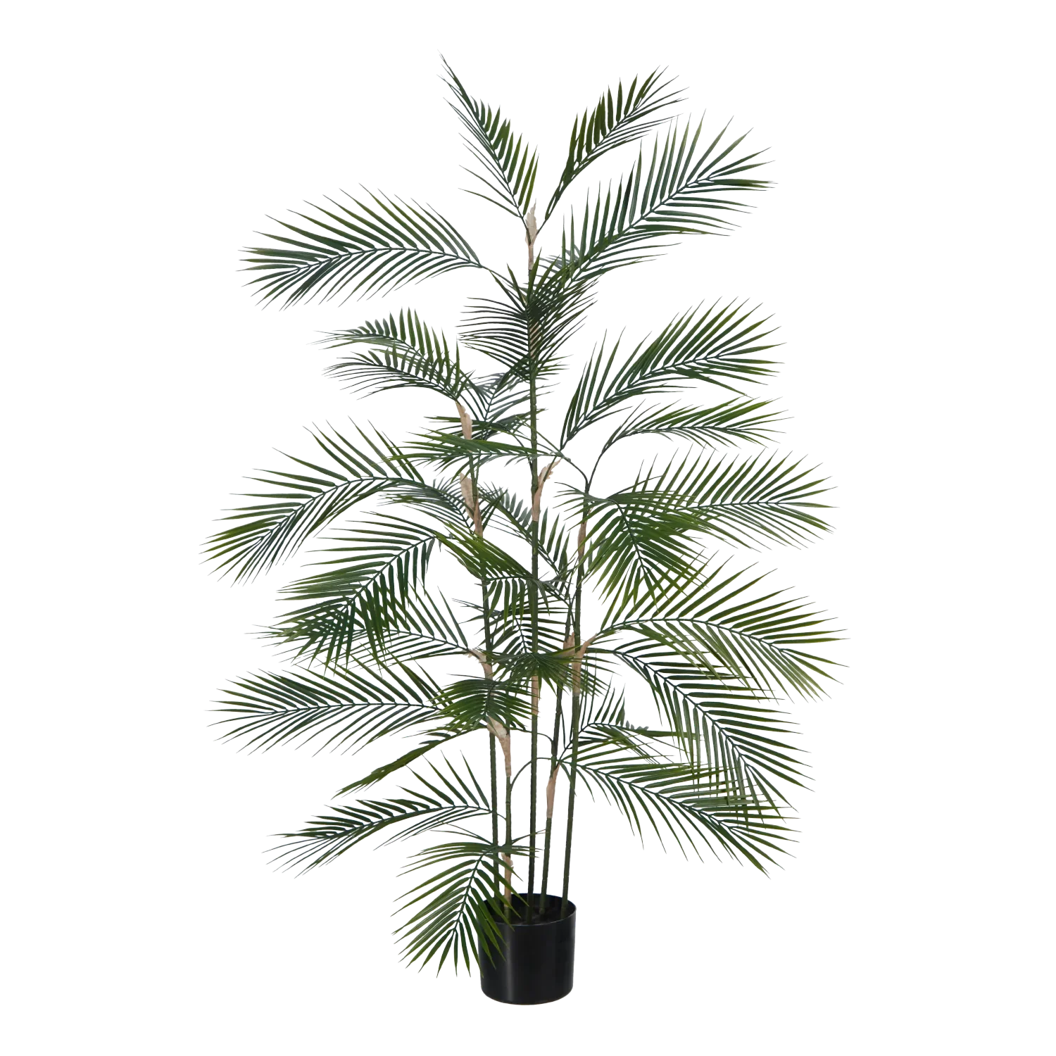 Künstliche Bergpalme - Nolte | 140 cm