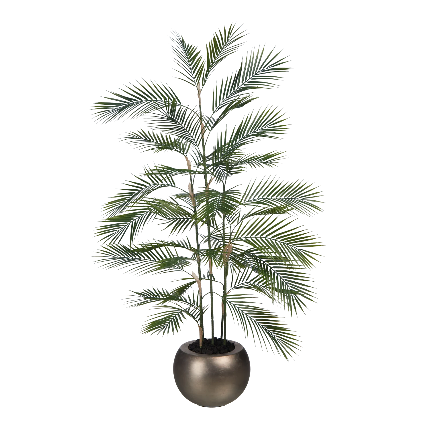 Künstliche Bergpalme - Nolte | 140 cm