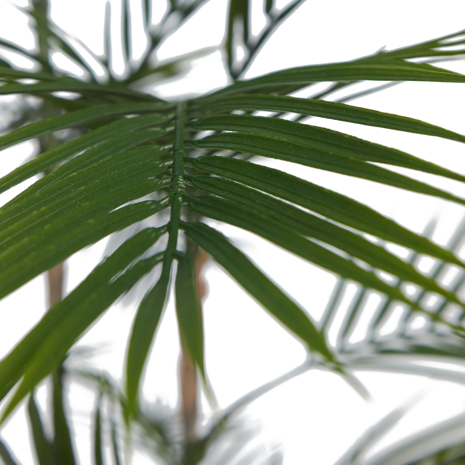 Künstliche Bergpalme - Nolte | 140 cmr