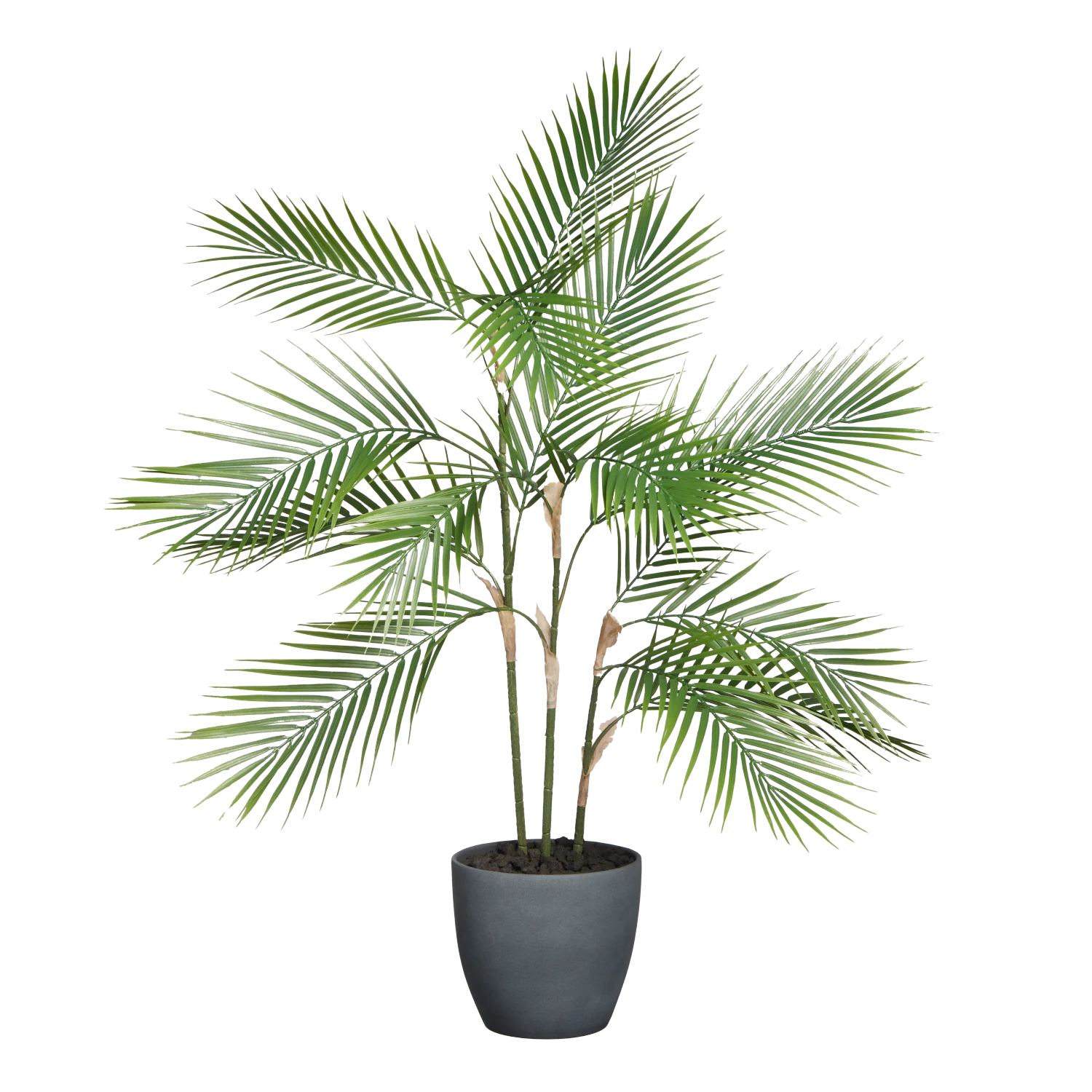 Künstliche Bergpalme - Nolte | 100 cm