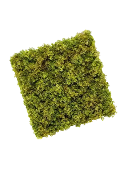 Künstliche Iceland Moos Matte - Nala, 5 cm, Kunstpflanze von aplanta, UV-beständig, in Grün, für drinnen