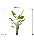 Künstliche Strelitzia - Colin | 180 cm