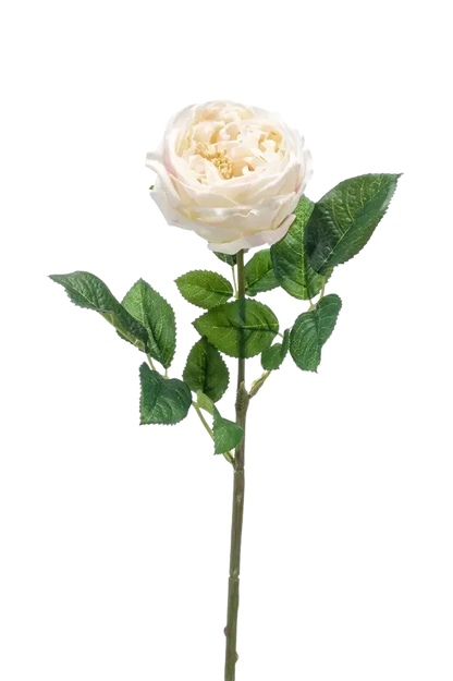 Künstliche Rose - Miranda, 60 cm, Kunstblume von aplanta, Real Touch, Steckpflanze, in Creme, für drinnen
