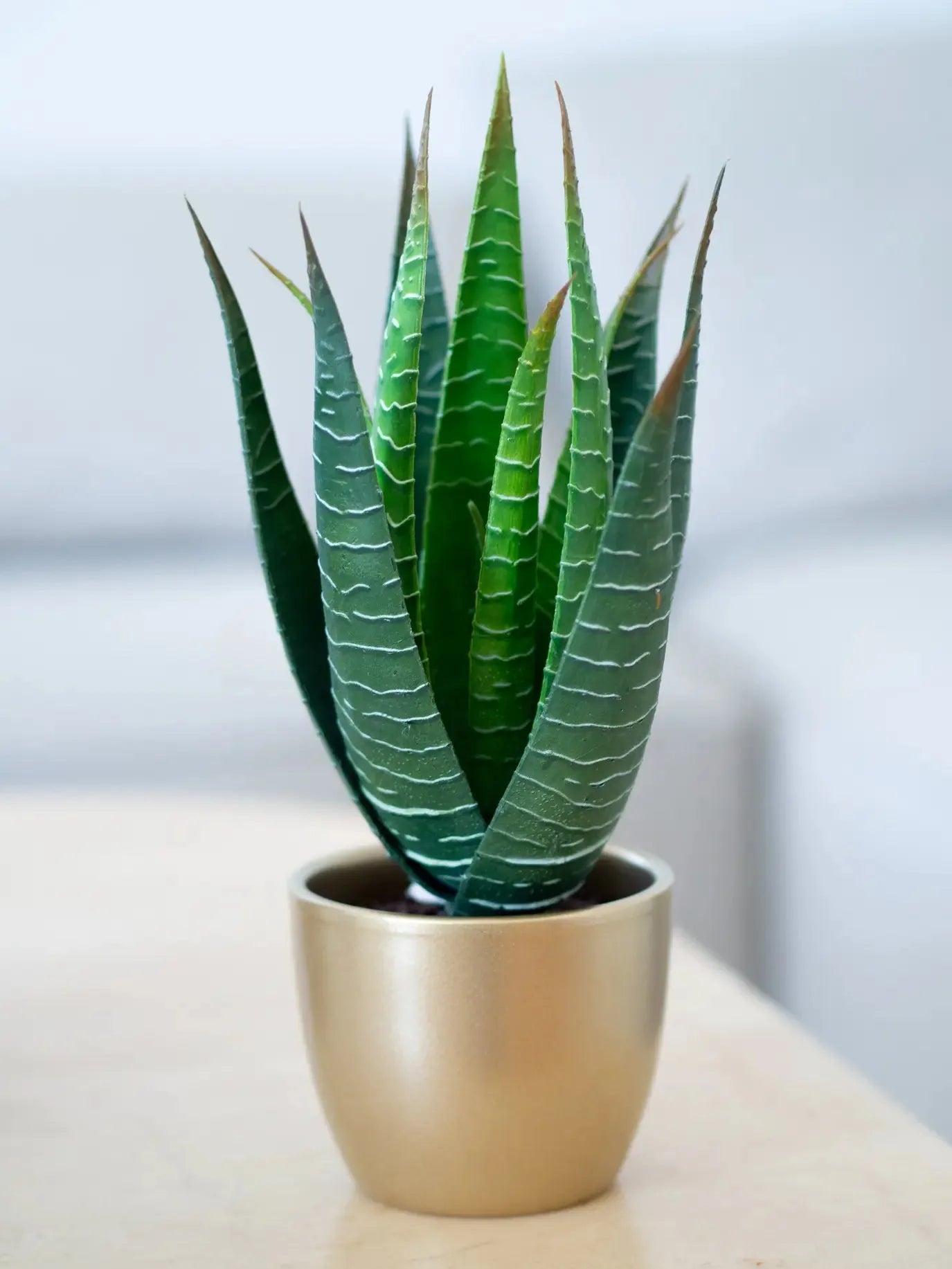 Künstliche Aloe - Patricia | 23 cm