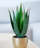 Künstliche Aloe - Patricia | 23 cm