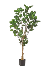 Künstliche Fiederaralie - Milan auf transparentem Hintergrund mit echt wirkenden Kunstblättern. Diese Kunstpflanze gehört zur Gattung/Familie der "Polyscias" bzw. "Kunst-Polyscias".