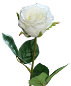 Hochwertige Hortensie künstlich auf transparentem Hintergrund mit echt wirkenden Kunstblättern in natürlicher Anordnung. Künstliche Rose - Ismene hat die Farbe cream und ist 48 cm hoch. | aplanta Kunstpflanzen