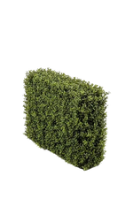 Künstliche Buchsbaumhecke - Jannis, 50 cm, Kunstbaum von aplanta, UV-beständig, in Grün, für draußen