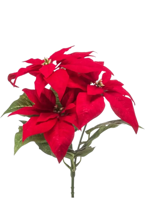 Künstliche Poinsettia - Arthur auf transparentem Hintergrund mit echt wirkenden Kunstblättern in natürlicher Anordnung. Künstliche Poinsettia - Arthur hat die Farbe Natur und ist 32 cm hoch. | aplanta Kunstpflanzen