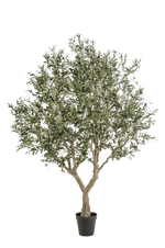 Künstlicher Olivenbaum - Mars, 250 cm, Kunstbaum von aplanta, in Grün, für drinnen