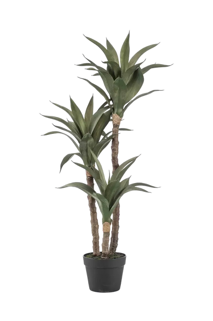 Künstliche Agave - Pepe auf transparentem Hintergrund mit echt wirkenden Kunstblättern in natürlicher Anordnung. Künstliche Agave - Pepe hat die Farbe Natur und ist 100 cm hoch. | aplanta Kunstpflanzen