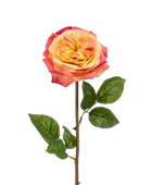 Hochwertige Hortensie künstlich auf transparentem Hintergrund mit echt wirkenden Kunstblättern in natürlicher Anordnung. Künstliche Rose - Ginny hat die Farbe Pink / Gelb und ist 60 cm hoch. | aplanta Kunstpflanzen