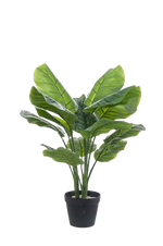 Künstliche Calathea orbifolia - Bill, 70 cm, Kunstpflanze von aplanta, im schwarzen Topf, in Natur, für drinnen