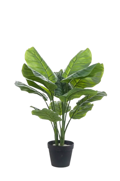 Künstliche Calathea orbifolia - Bill, 70 cm, Kunstpflanze von aplanta, im schwarzen Topf, in Natur, für drinnen