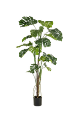Künstliche Monstera - Mogli, 180 cm, Kunstbaum von aplanta, in Grün, für drinnen