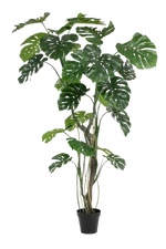 Künstliche Monstera - Mogli, 210 cm, Kunstbaum von aplanta, in Grün, für drinnen