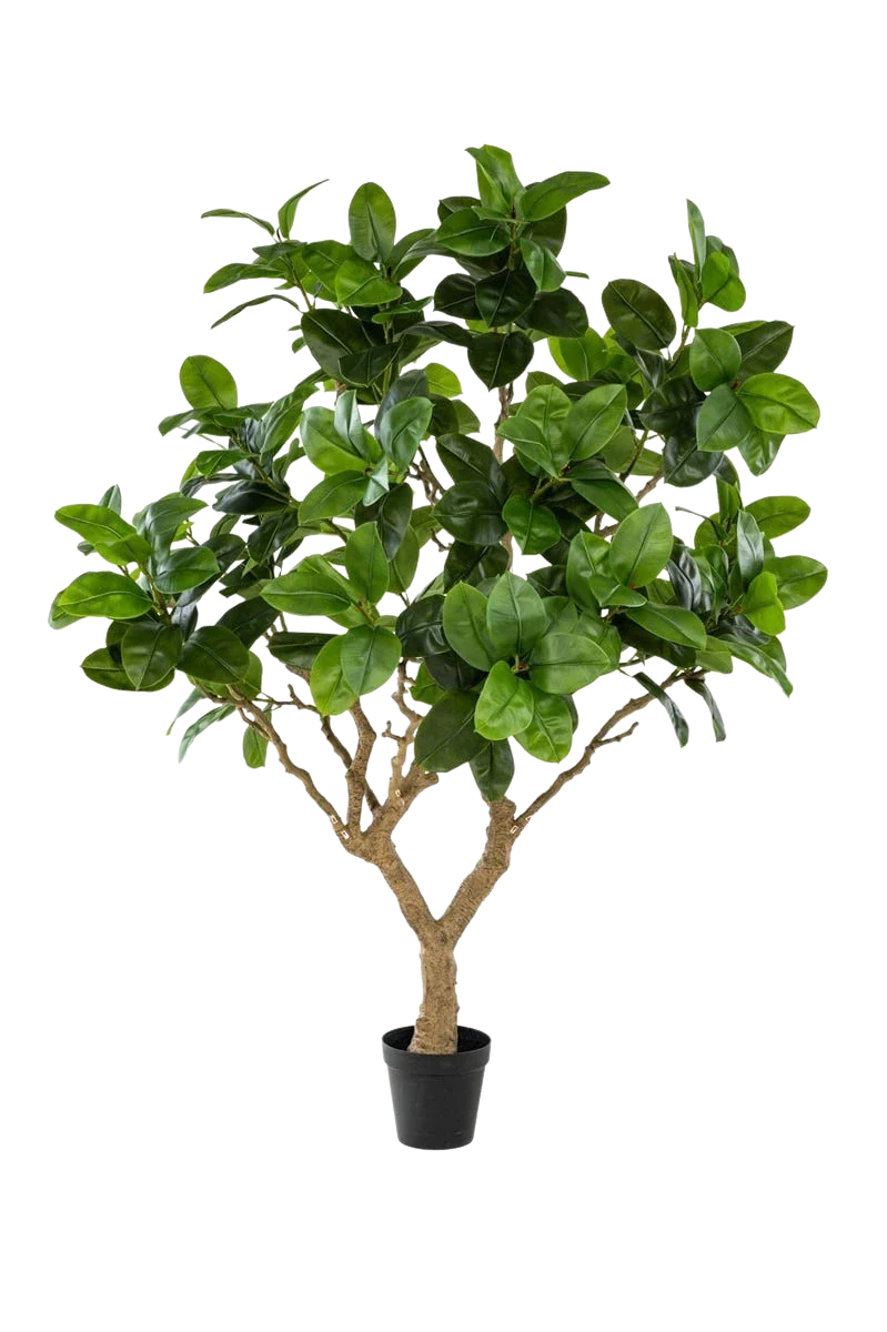 Künstlicher Gummibaum - Temptus | 240 cm