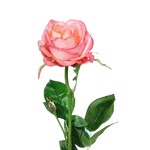 Künstliche Rose - Sokrates, 66 cm, Kunstblume von aplanta, Real Touch, in Pink, für drinnen