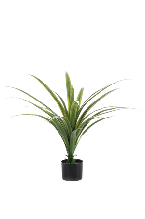 Künstlicher Drachenbaum - Sisu | 80 cm