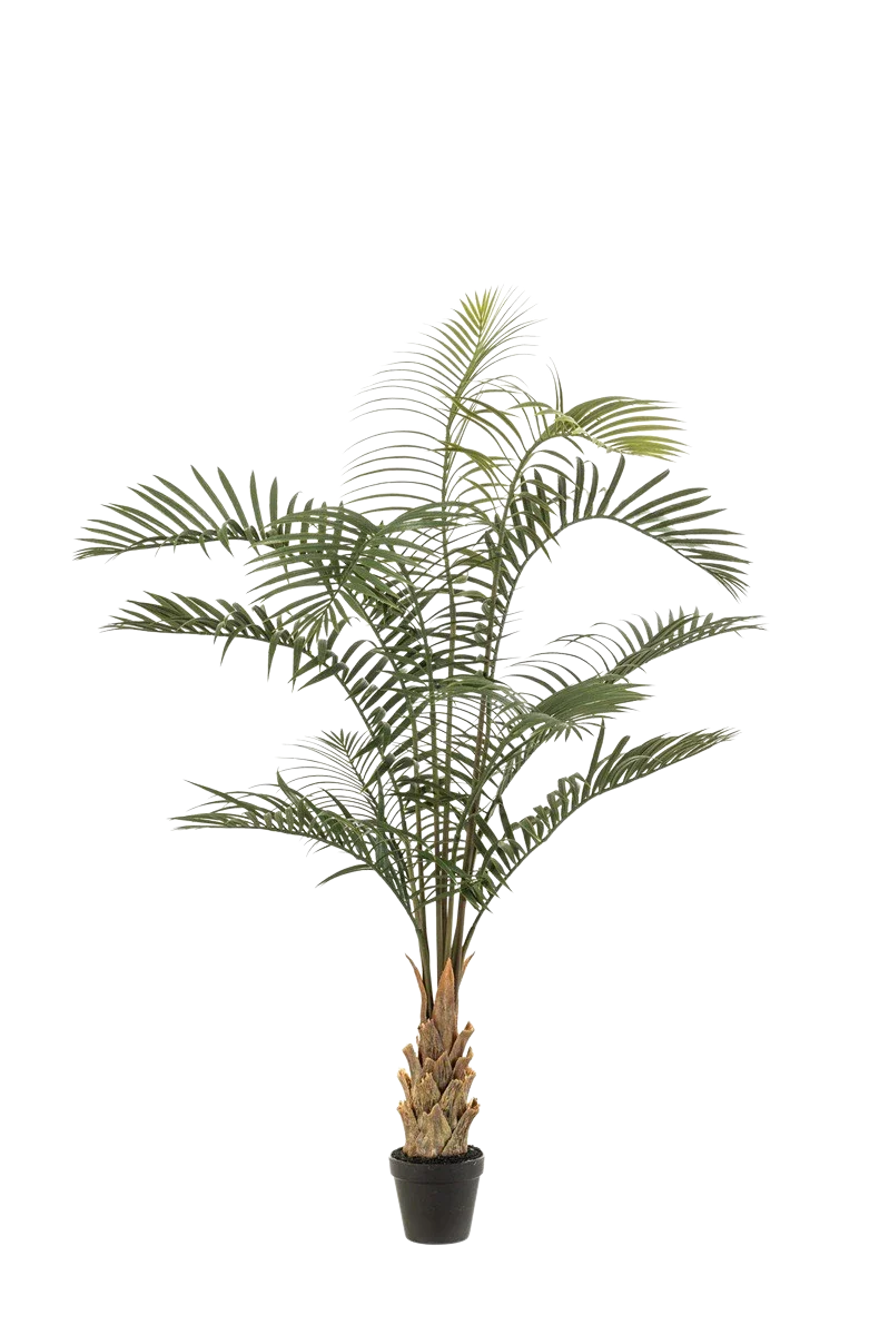 Künstliche Areca Palme - Suri | 120 cm