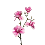 Künstliche Magnolien Zweig - Matilda, 80 cm, Kunstpflanze von aplanta, in Pink, für drinnen