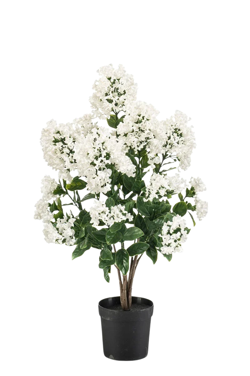 Künstlicher Flieder - August | 65 cm