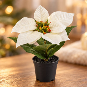 Künstlicher Weihnachtsstern – Natalina | 14 cm Weiß