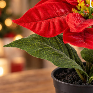 Künstlicher Weihnachtsstern – Natalina | 14 cm Rot