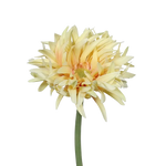 Künstliche Gerbera gefranzt - Adam, 57 cm, Kunstpflanze von aplanta, in Gelb, für drinnen