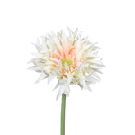 Künstliche Gerbera gefranzt - Hajo auf transparentem Hintergrund mit echt wirkenden Kunstblättern in natürlicher Anordnung. Künstliche Gerbera gefranzt - Hajo hat die Farbe lachs und ist 57 cm hoch. | aplanta Kunstpflanzen