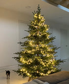 Árbol de Navidad artificial - Balthasar | 210 cm