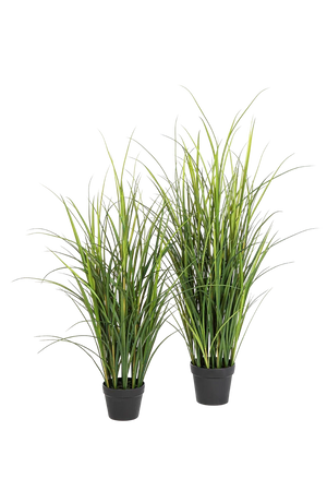 Künstliches Gras - Otto | 120 cm