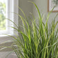 Künstliches Gras - Otto | 140 cm