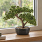 Künstlicher Bonsai - Nina | 26 cm