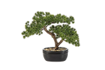 Künstlicher Bonsai - Nina, 26 cm, Kunstbaum von aplanta, in Grün, für drinnen