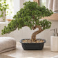 Künstlicher Bonsai - Sofia | 44 cm