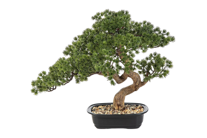 Künstlicher Bonsai - Sofia, 44 cm, Kunstbaum von aplanta, in Grün, für drinnen