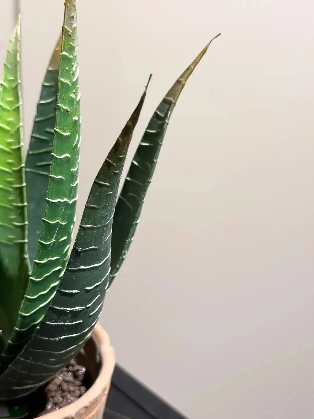 Künstliche Aloe - Pelikan | 23 cm | Kunstpflanze von aplanta