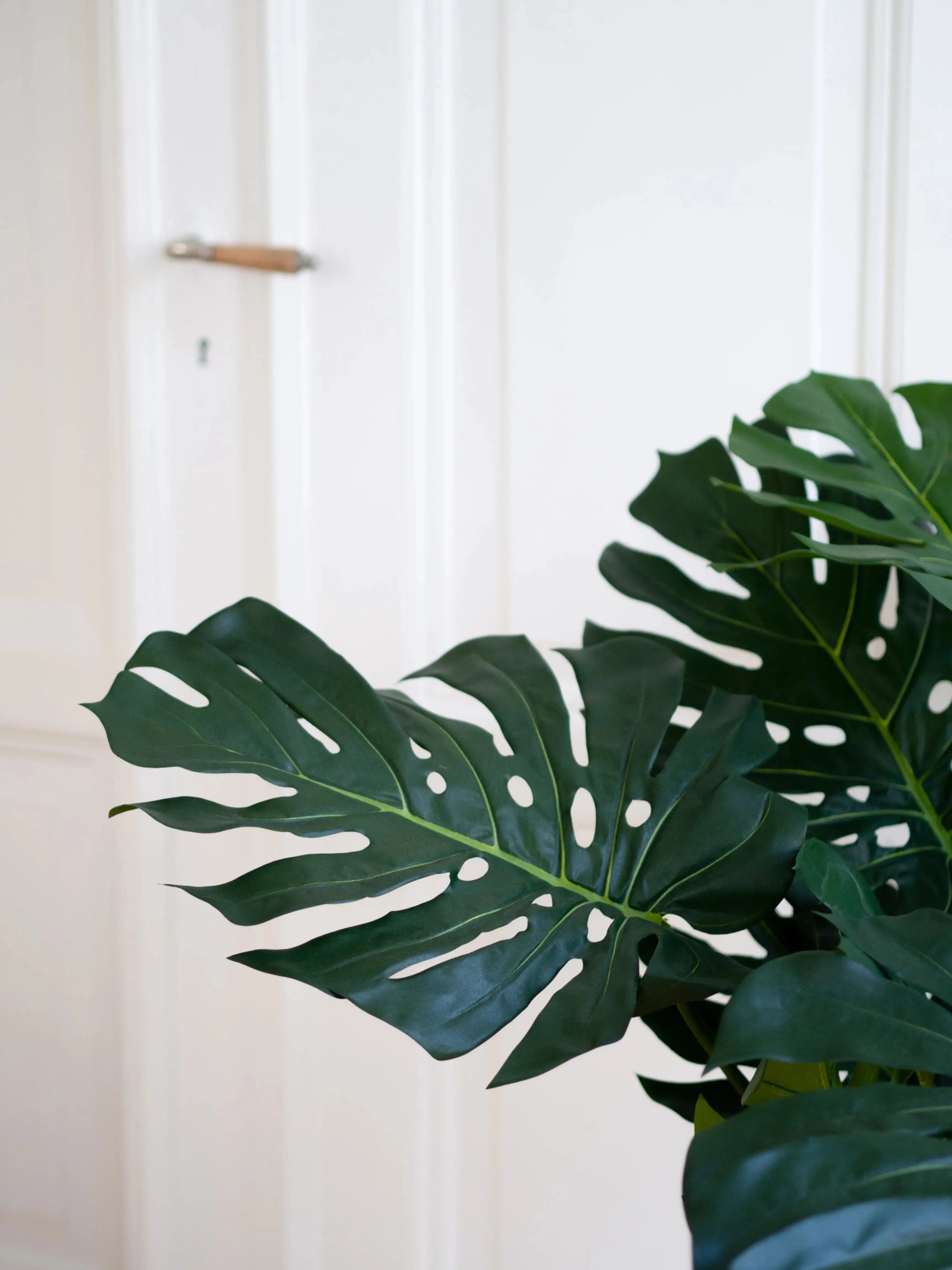 Künstliche Monstera - Thilo | 80 cm