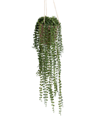 Ficus trepador artificial colgante - Kjell | 80 cm