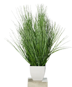 Hochwertiges Kunstgras auf transparentem Hintergrund mit echt wirkenden Kunstblättern in natürlicher Anordnung. Künstliches California-Beach-Gras - Arian hat die Farbe Natur und ist 78 cm hoch. | aplanta Kunstpflanzen