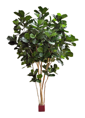 Künstliche Geigenfeige - Lisa | 420 cm