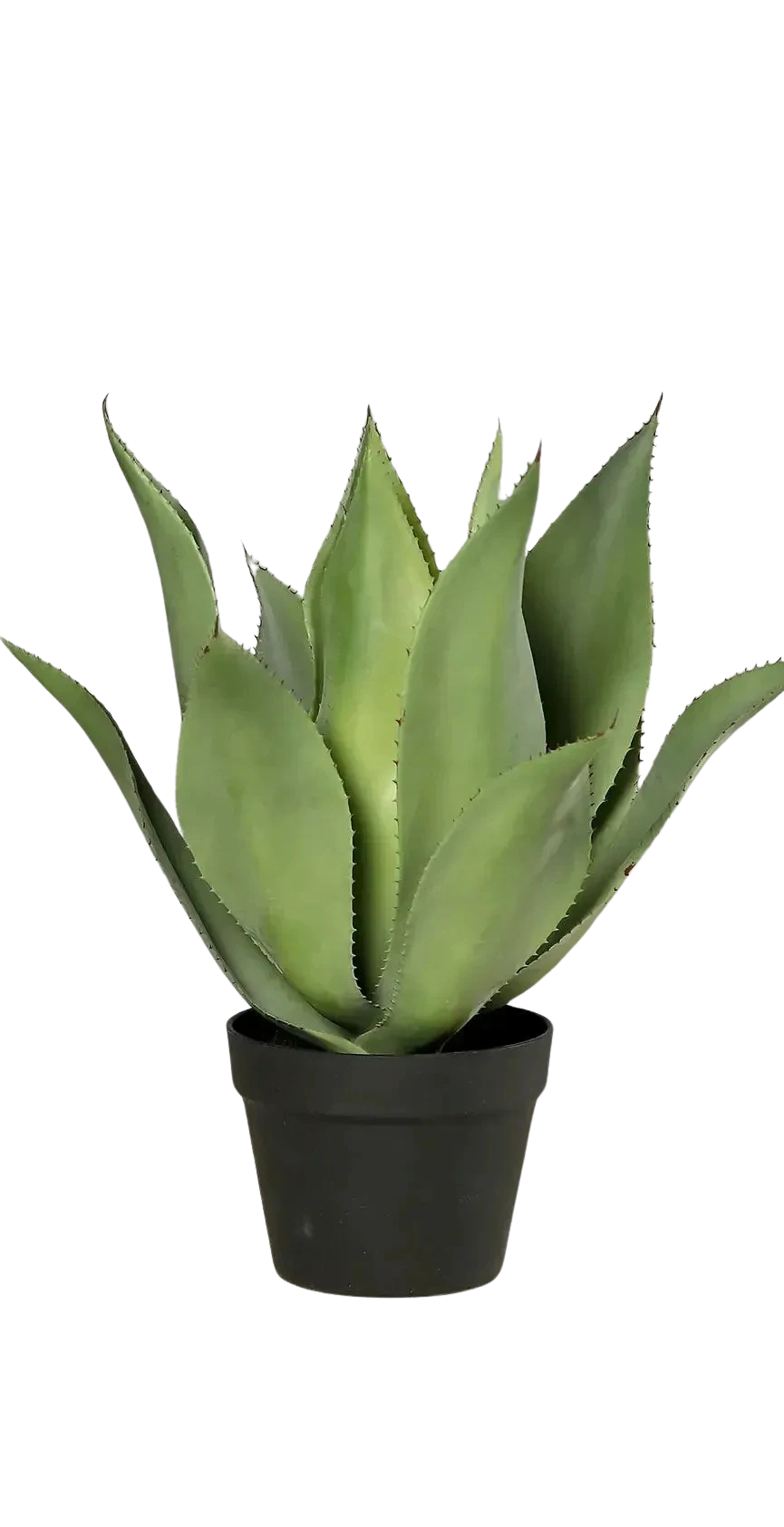 Künstliche Agave - Mustafa | 54 cm