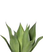 Künstliche Agave - Mustafa | 54 cm